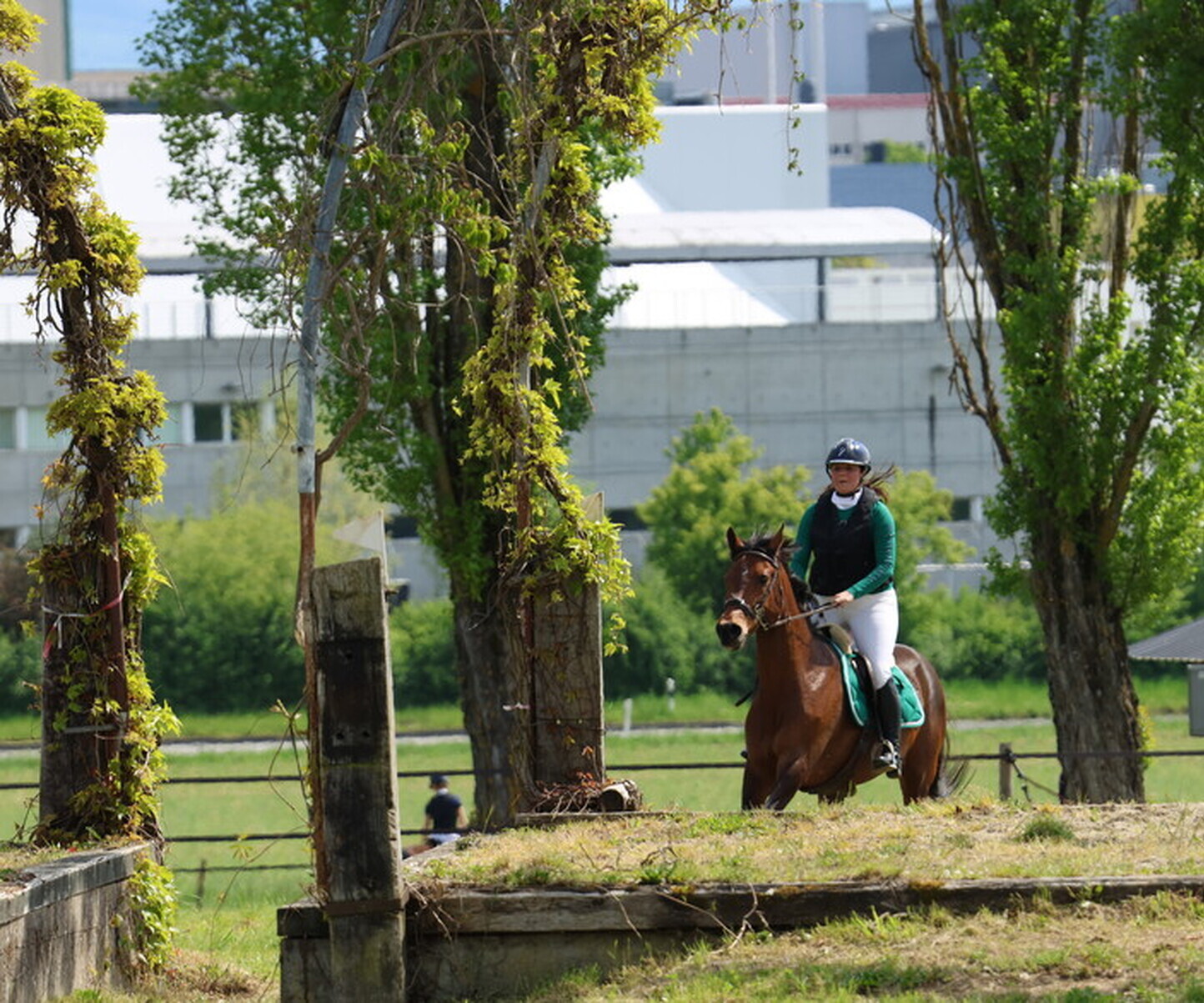 Description de l'image