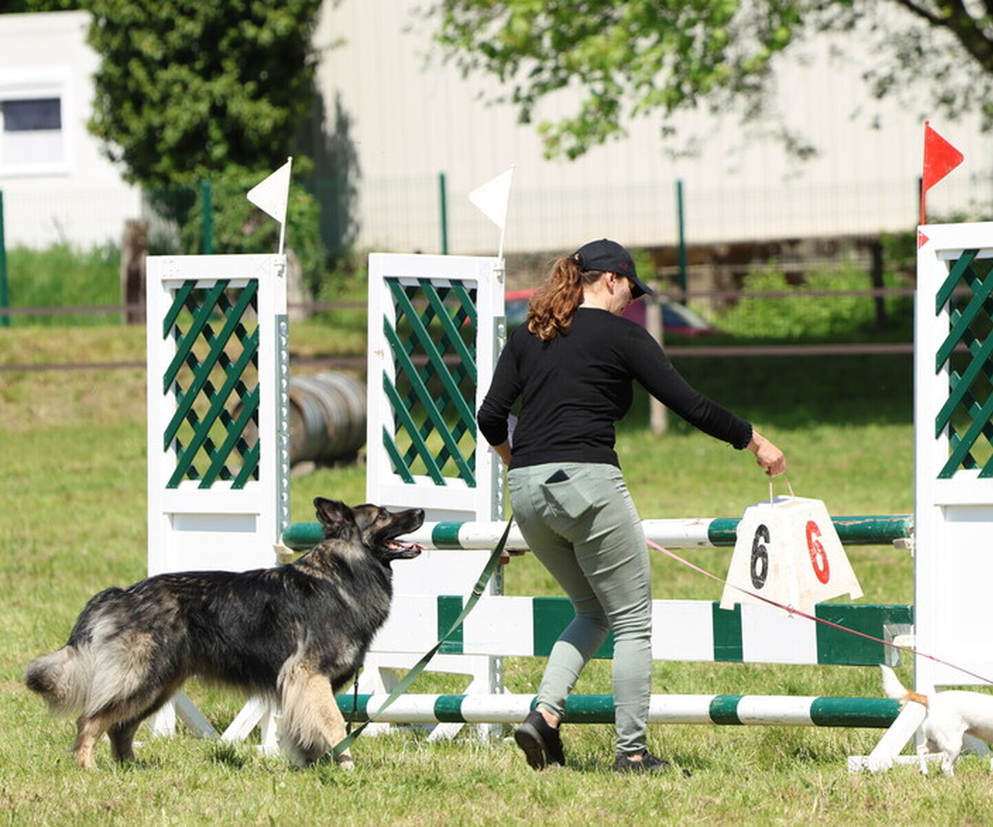 Description de l'image