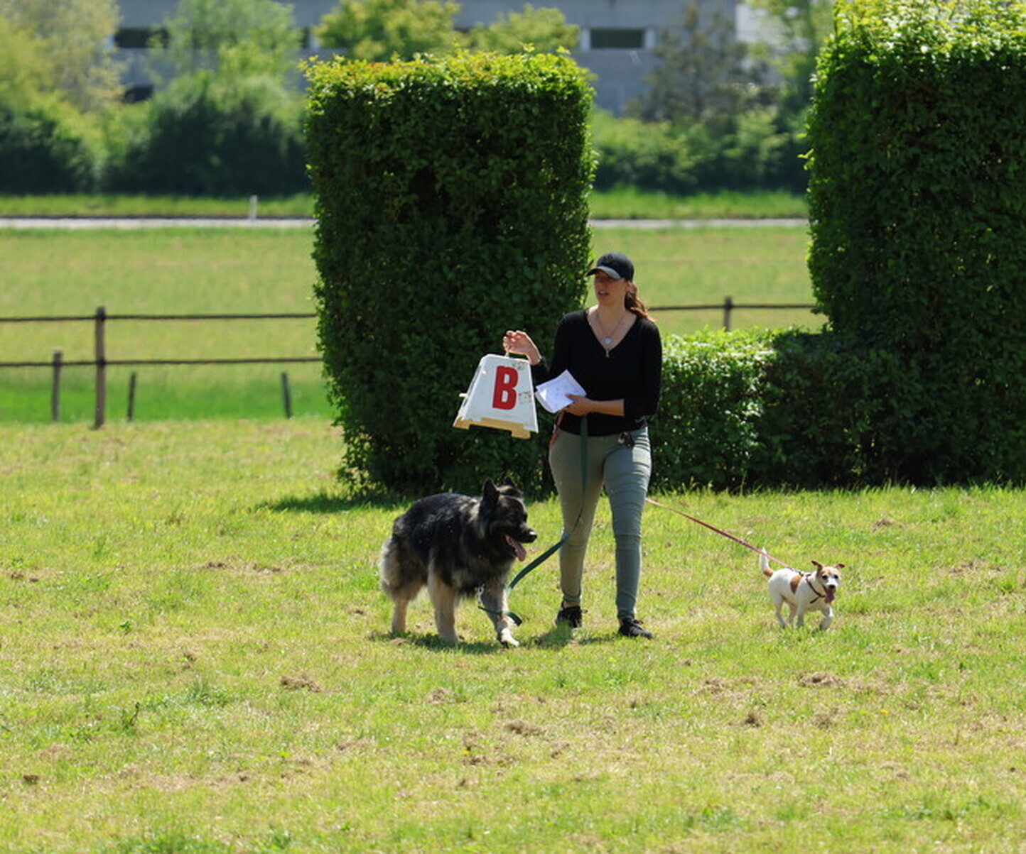 Description de l'image