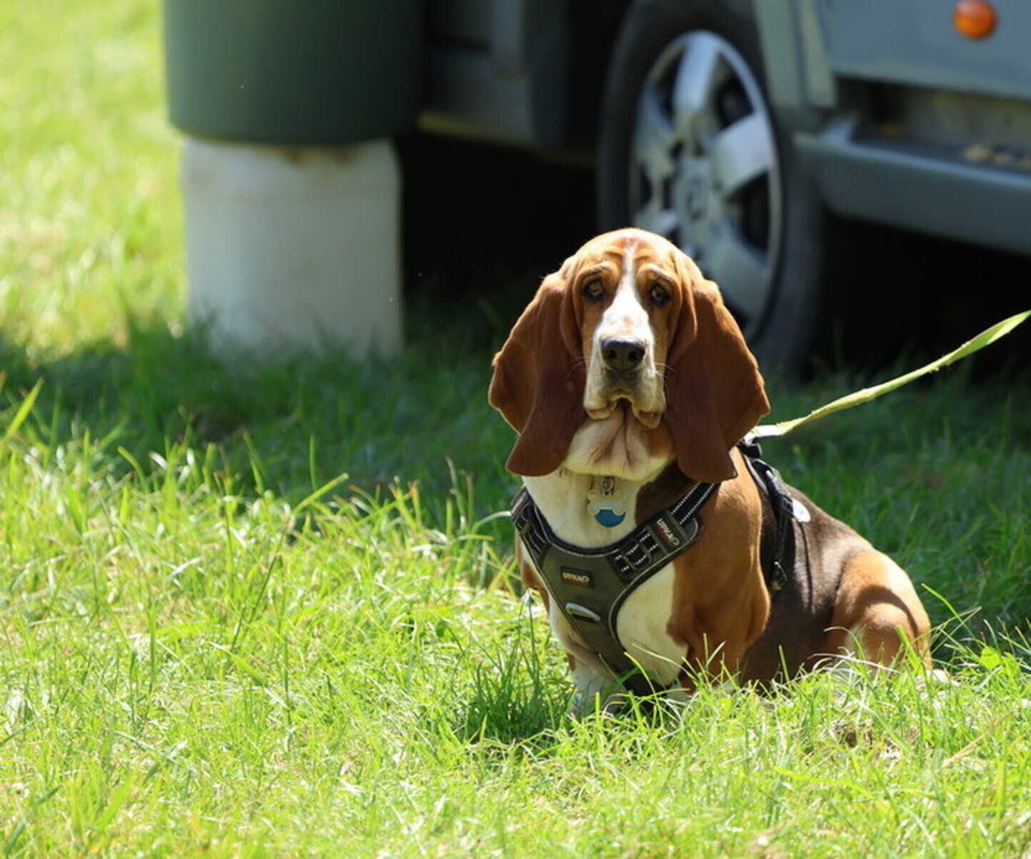 Description de l'image