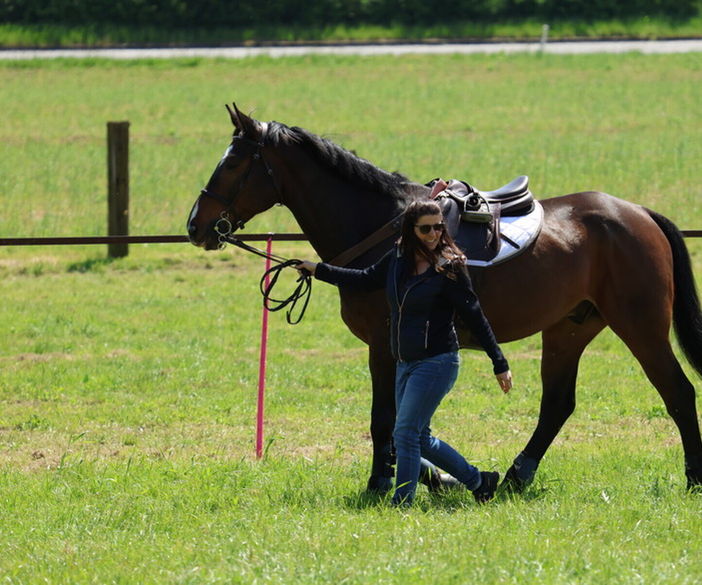 Description de l'image