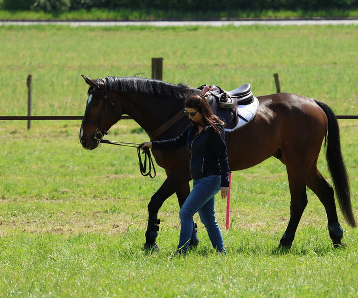 Description de l'image