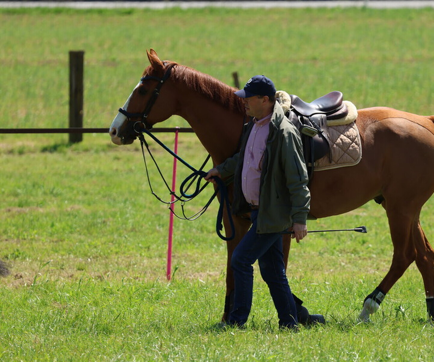 Description de l'image