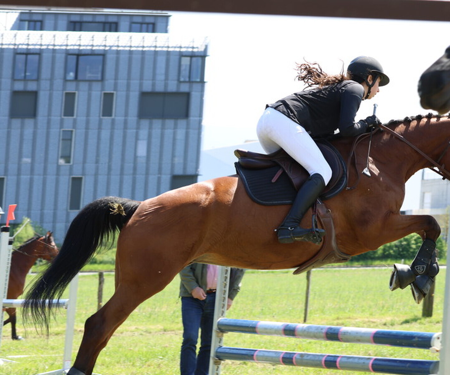 Description de l'image