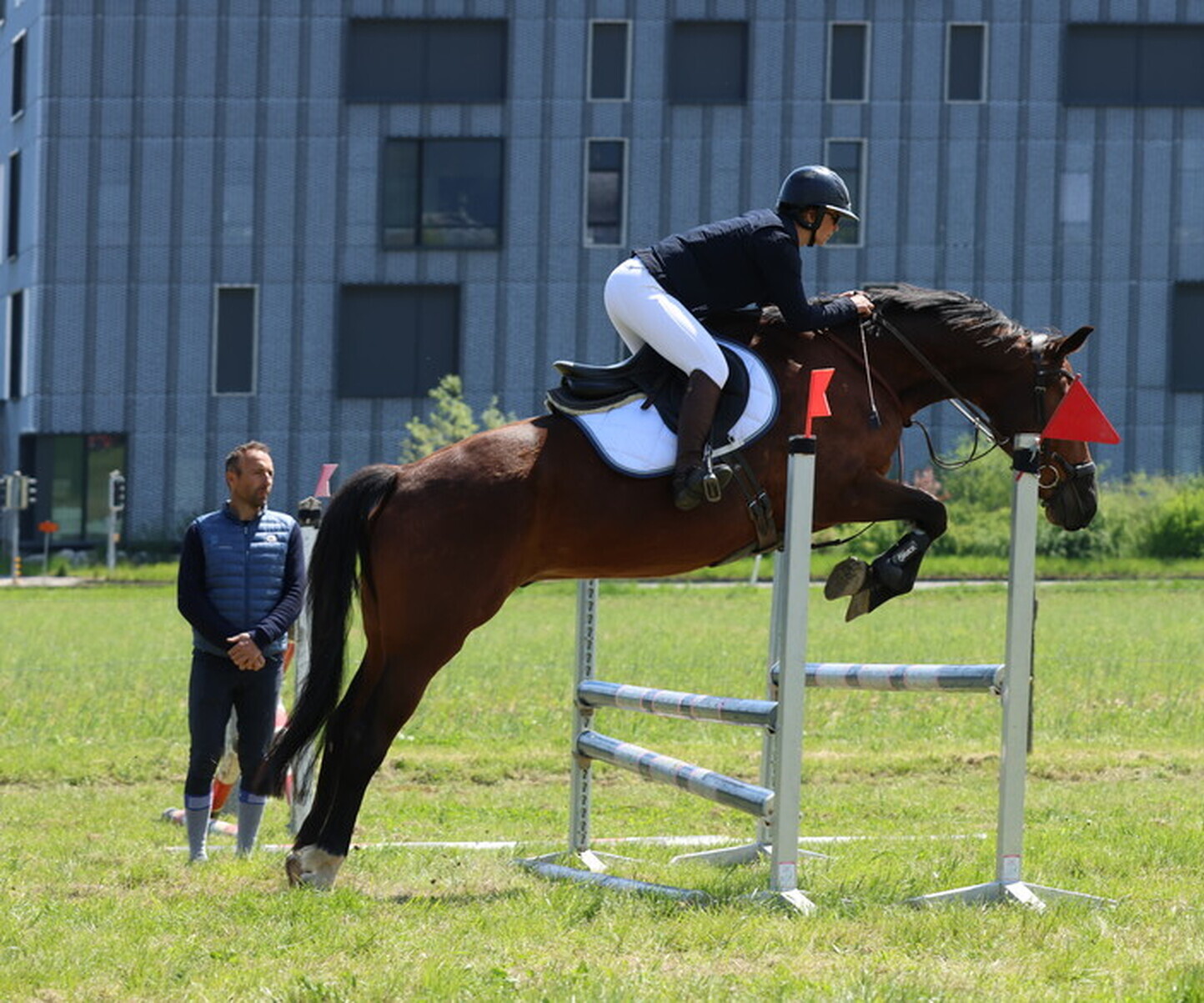 Description de l'image