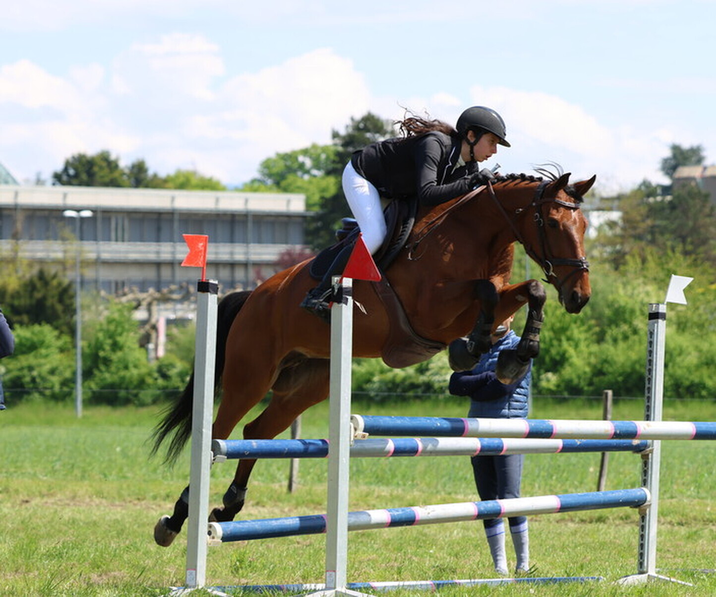 Description de l'image