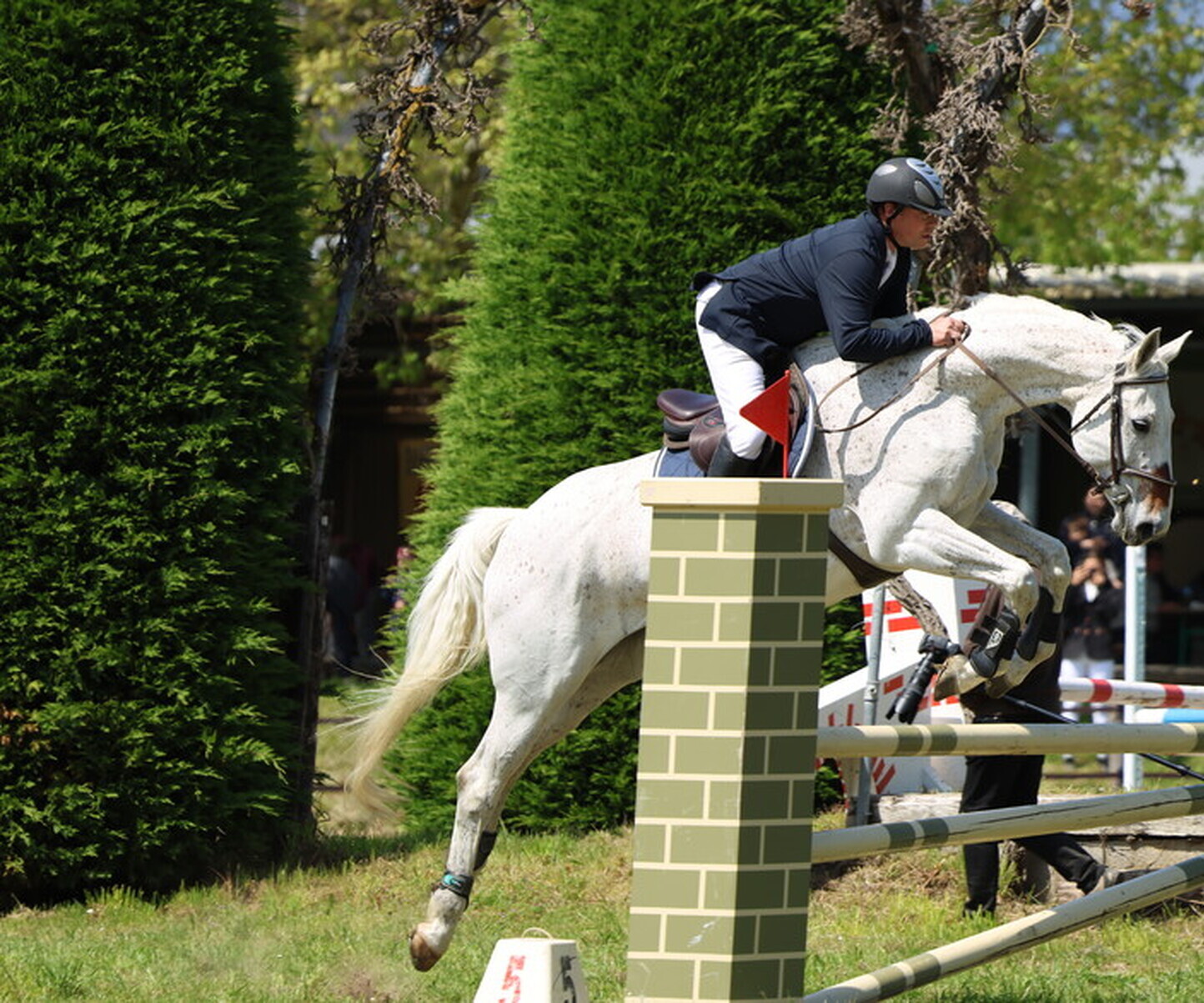 Description de l'image