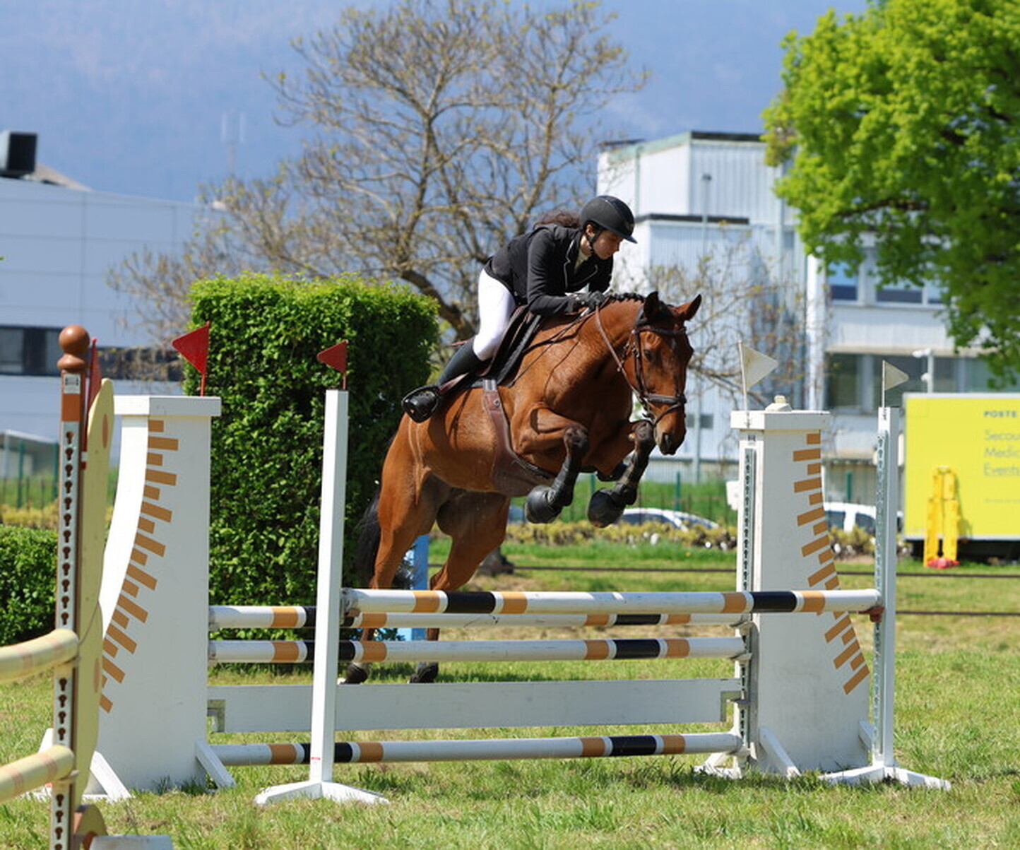 Description de l'image