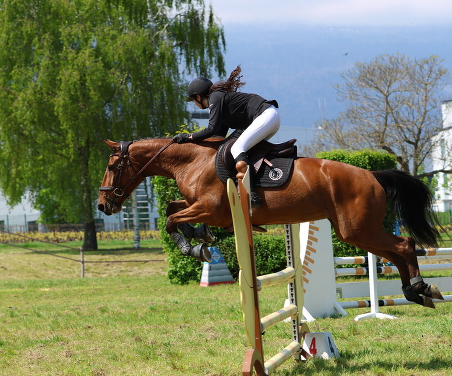 Description de l'image