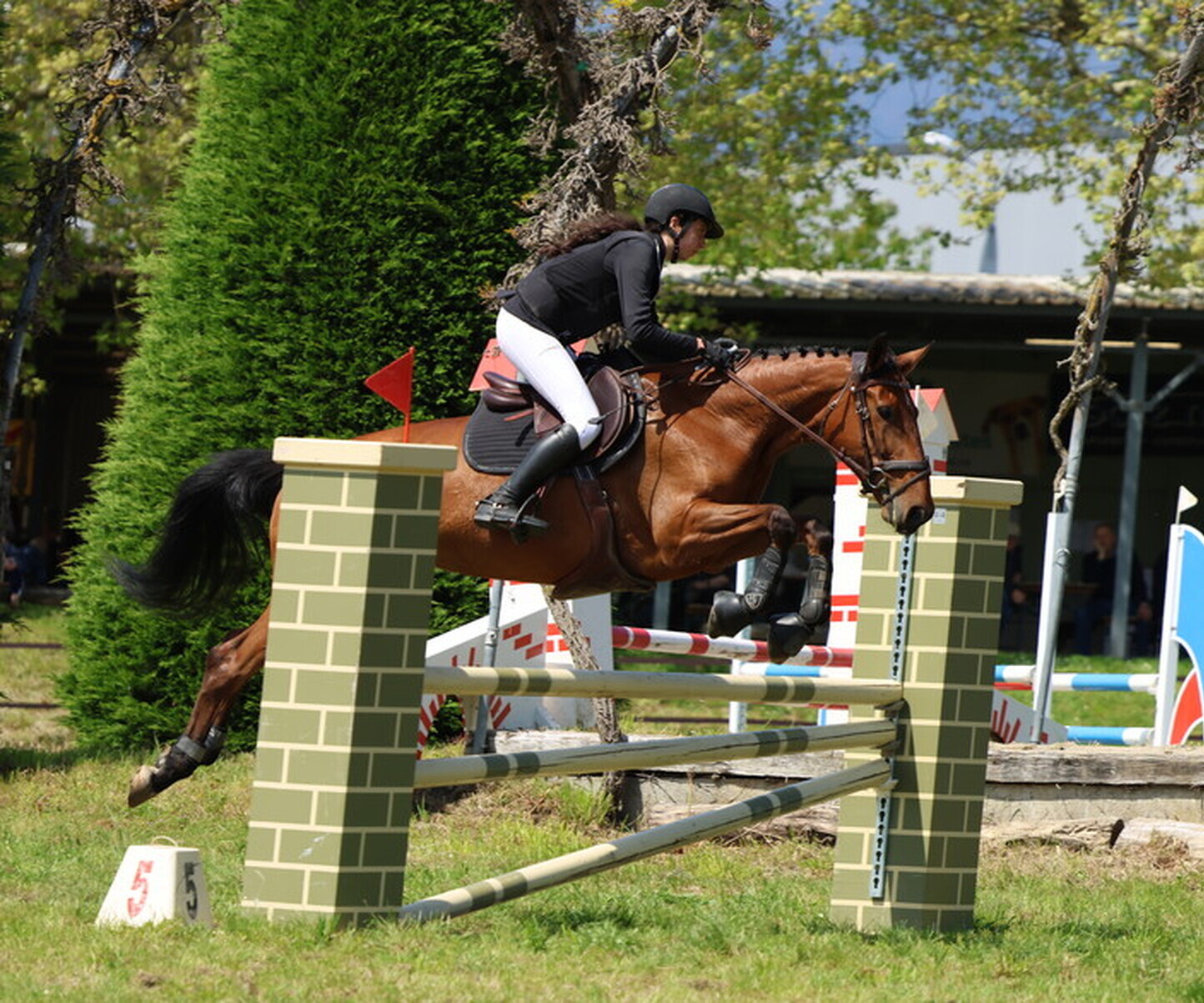 Description de l'image