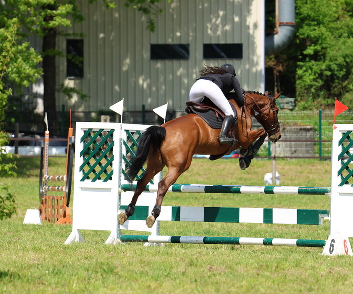 Description de l'image