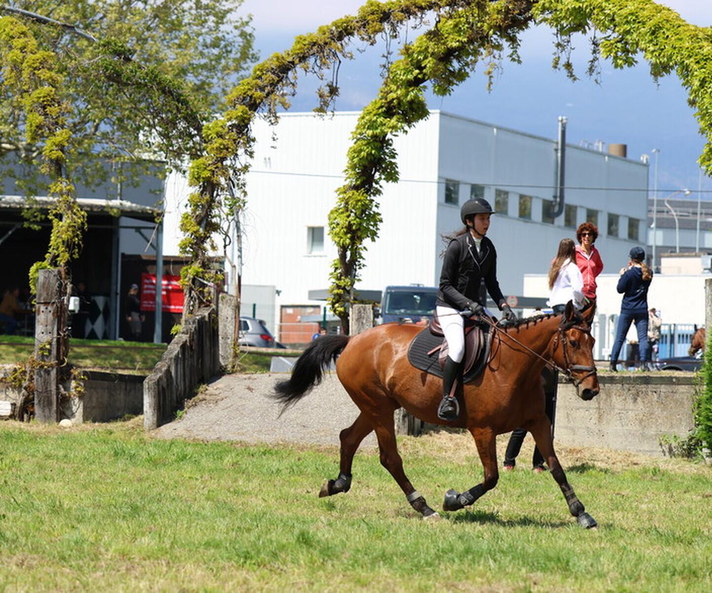 Description de l'image