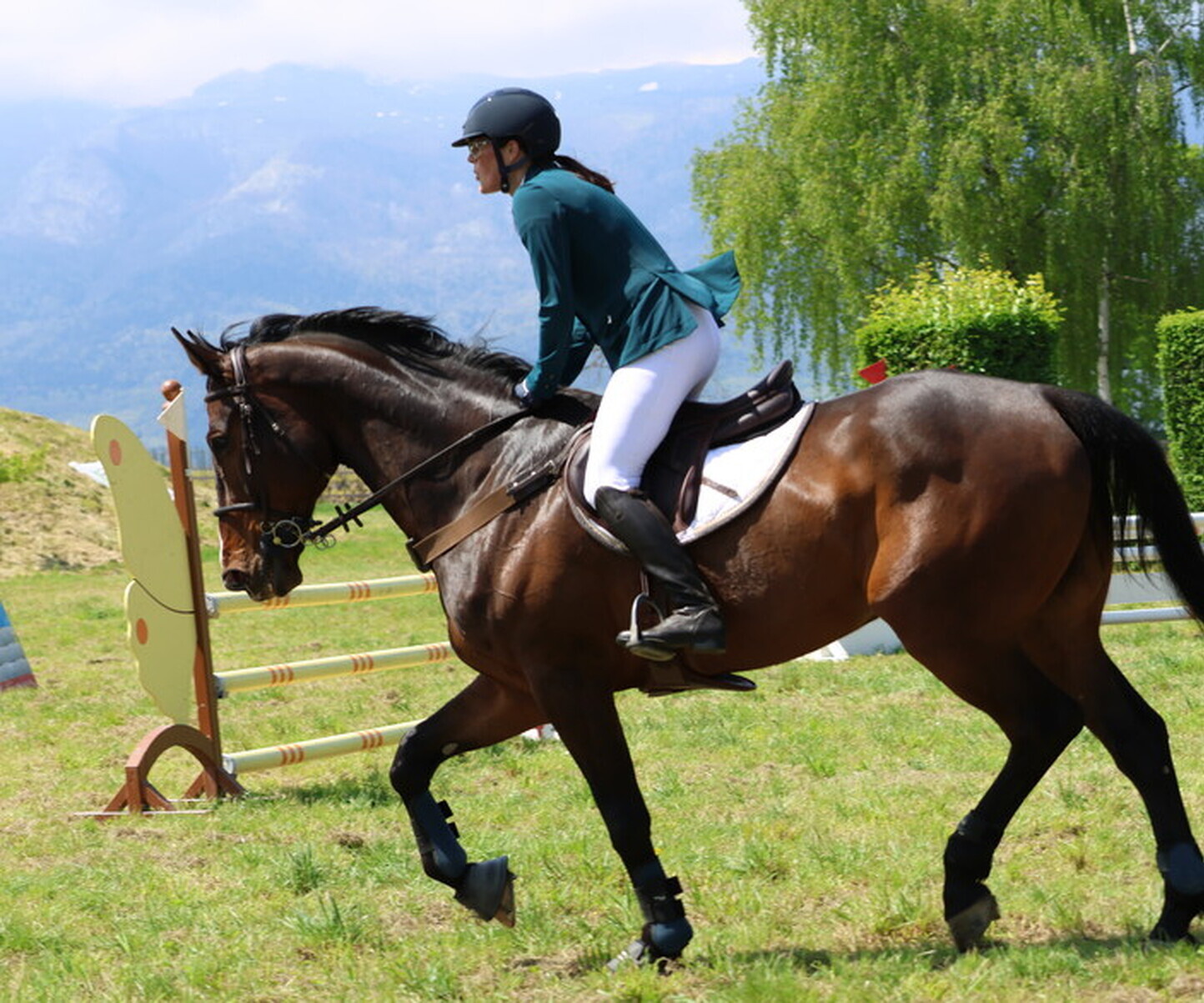 Description de l'image