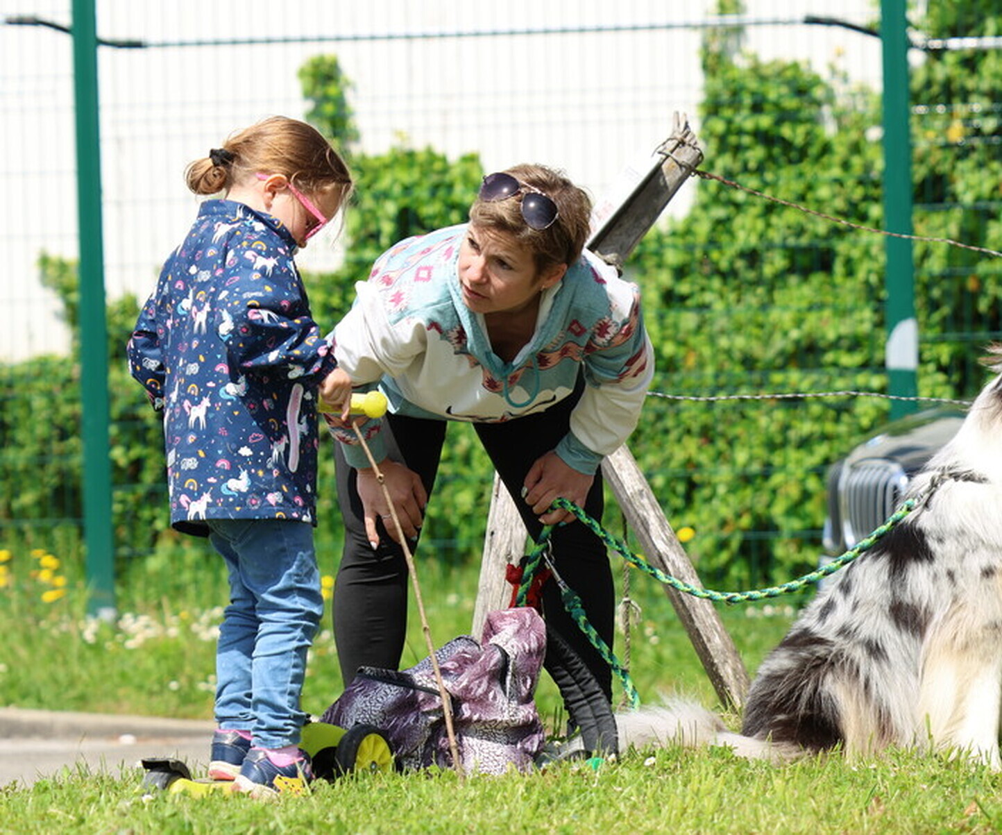 Description de l'image