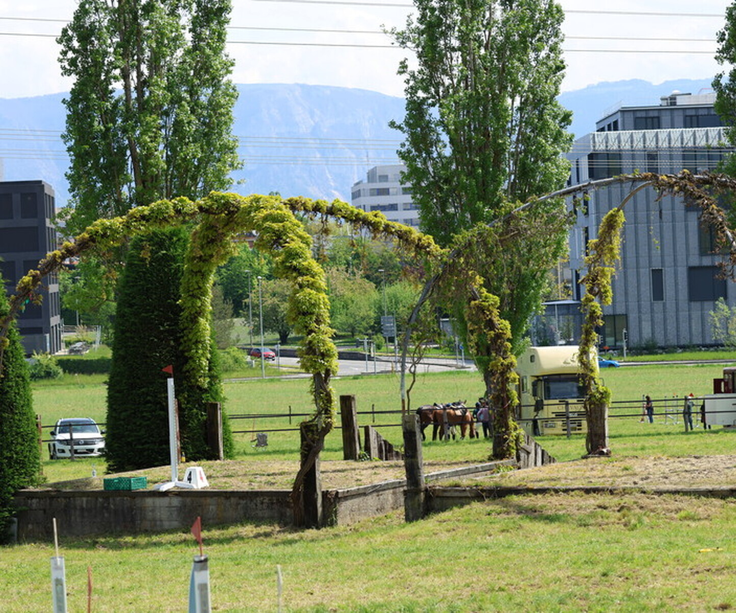 Description de l'image