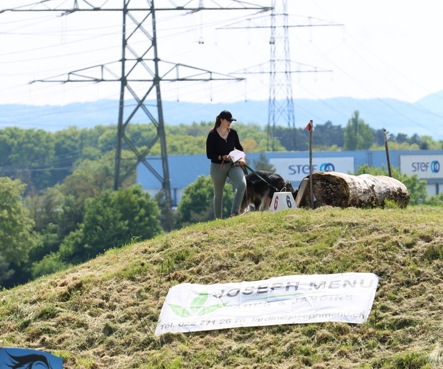 Description de l'image