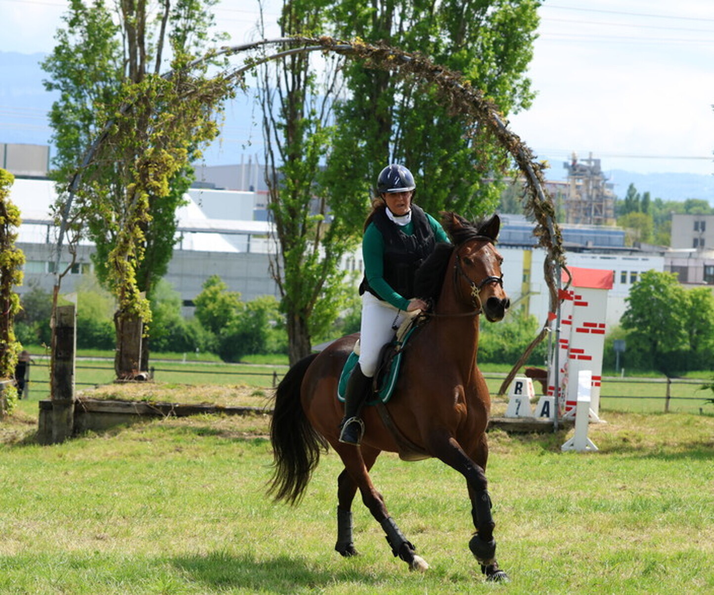 Description de l'image