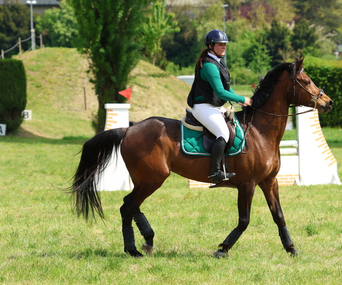 Description de l'image