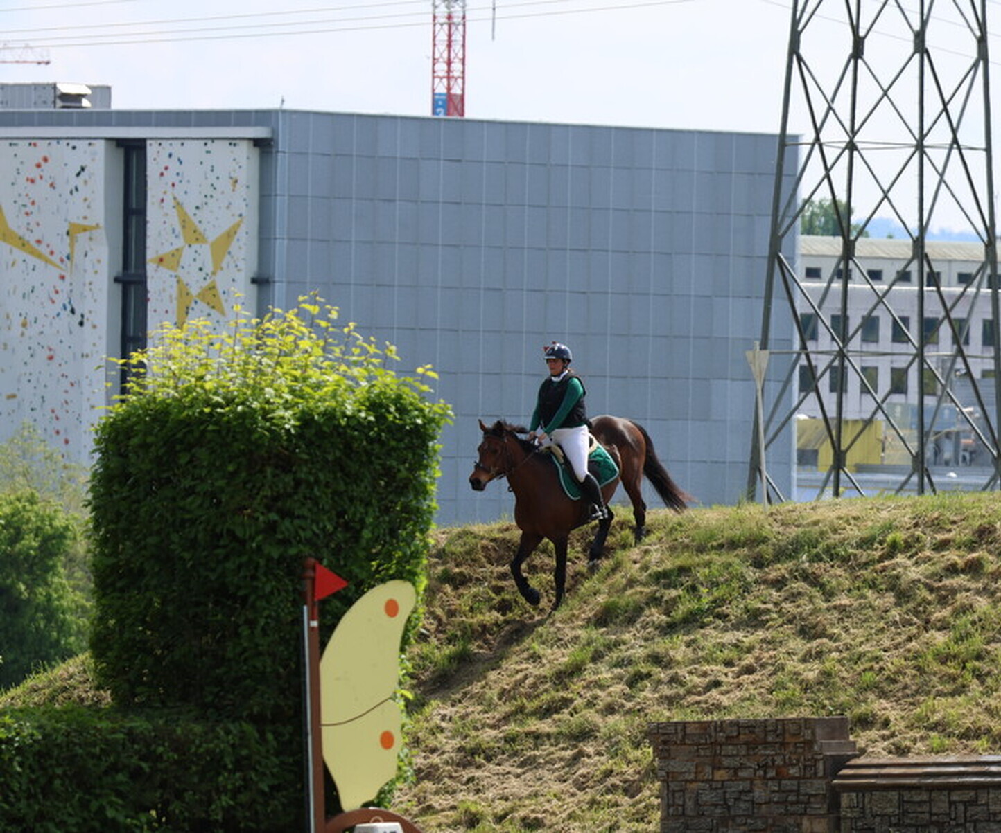 Description de l'image