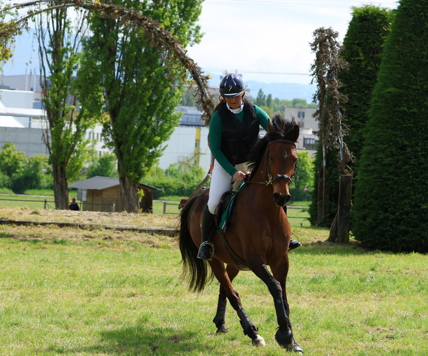 Description de l'image