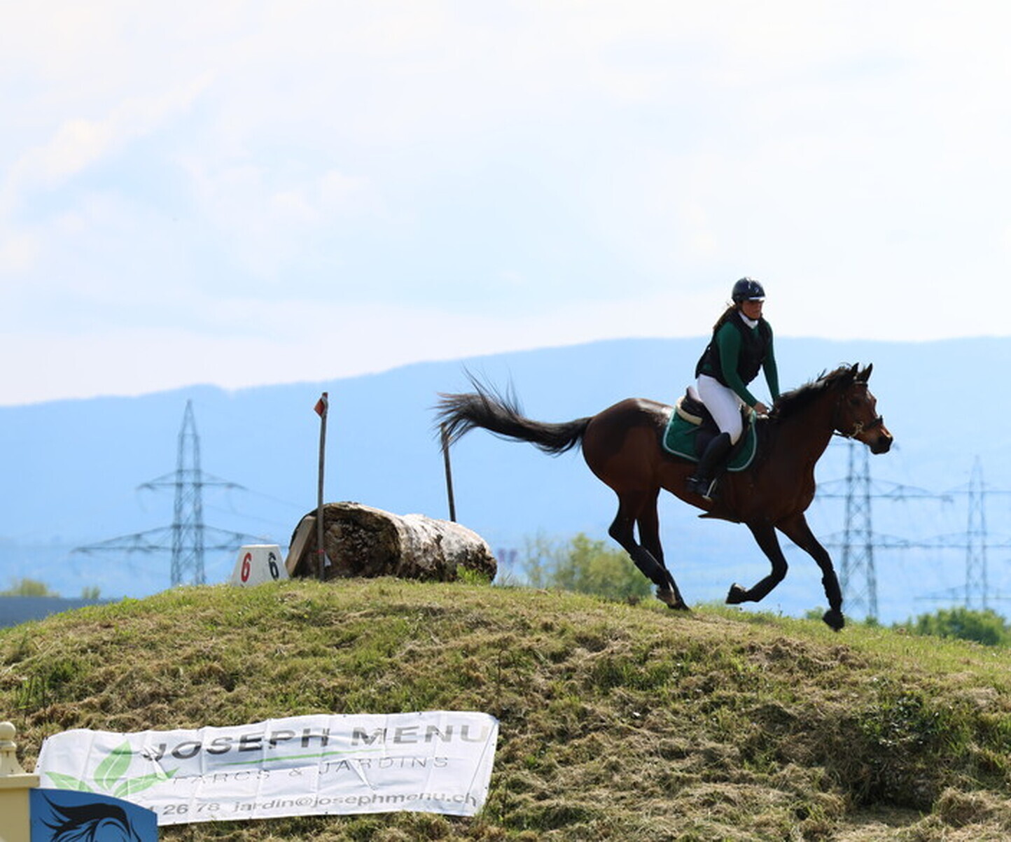 Description de l'image