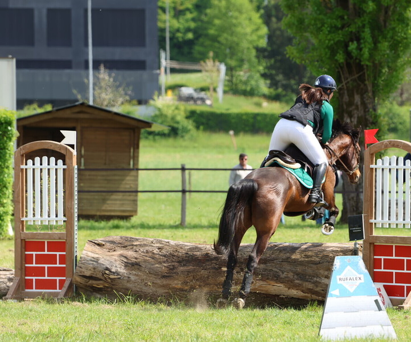 Description de l'image