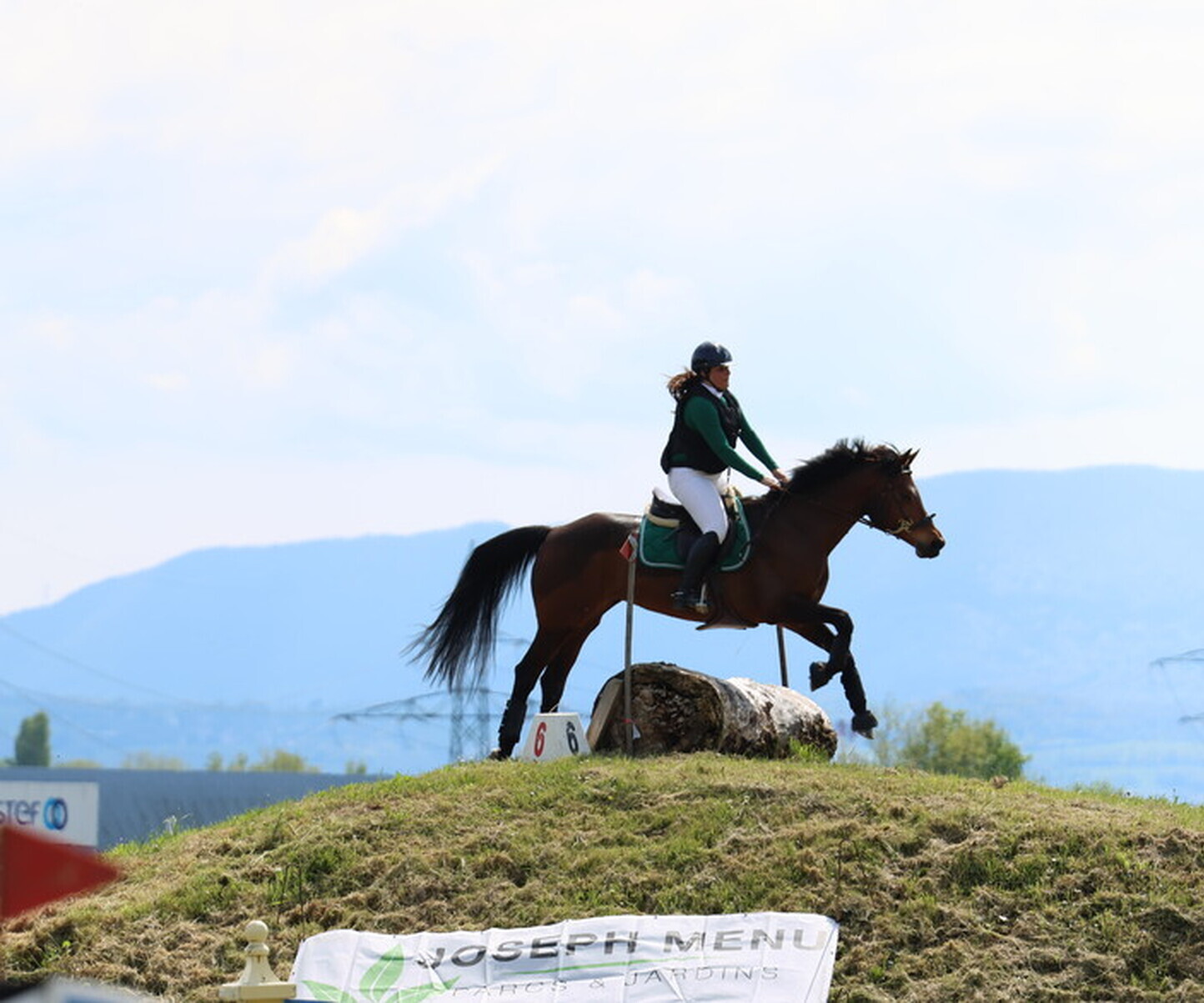 Description de l'image