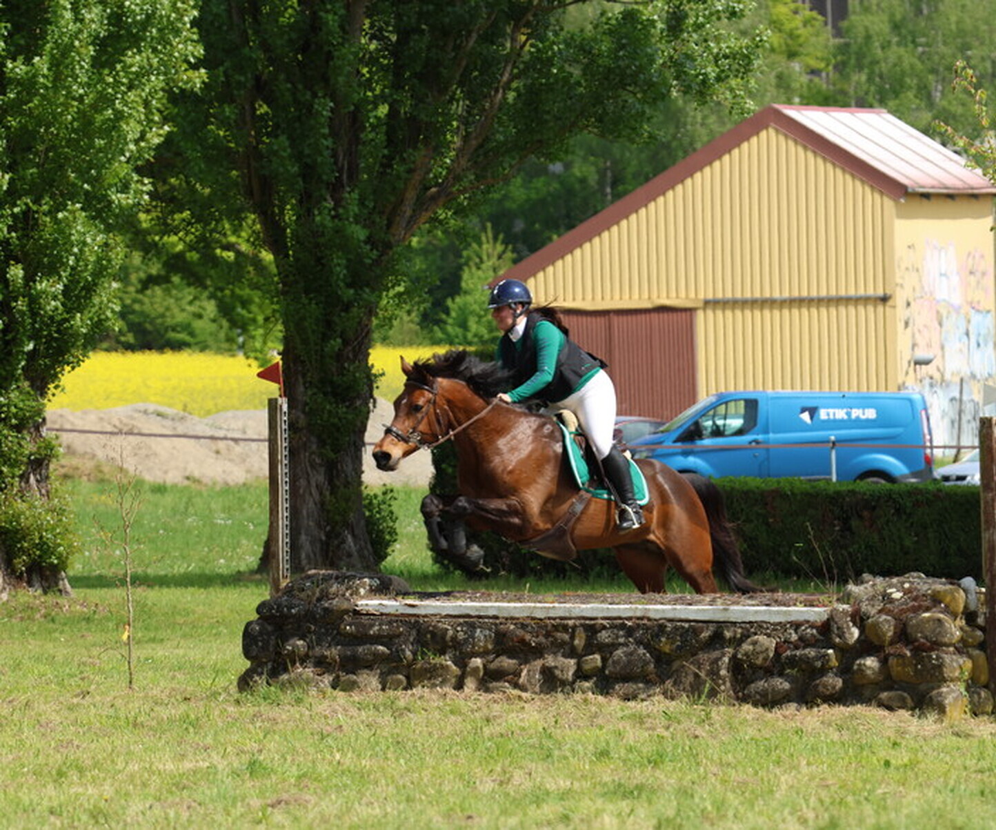 Description de l'image