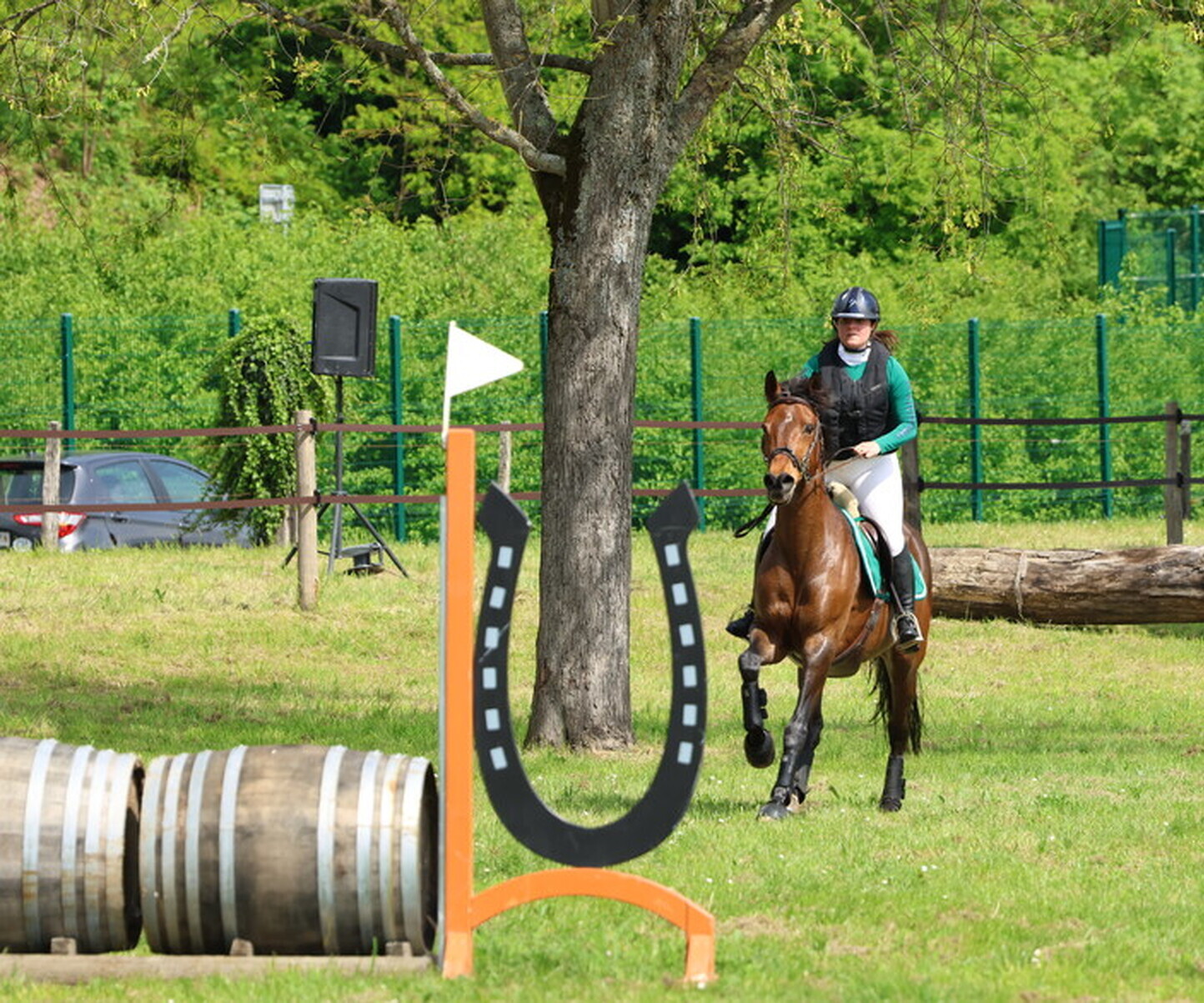 Description de l'image