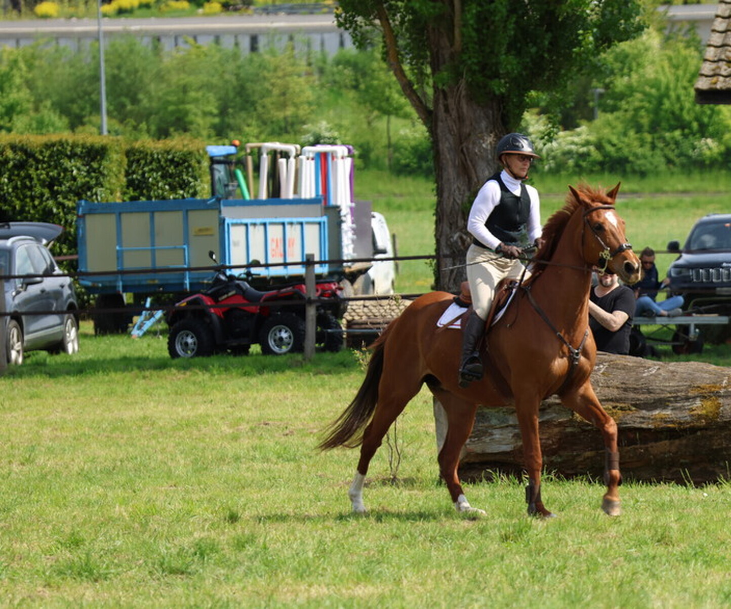 Description de l'image