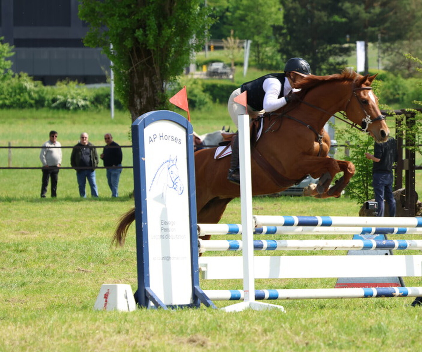 Description de l'image