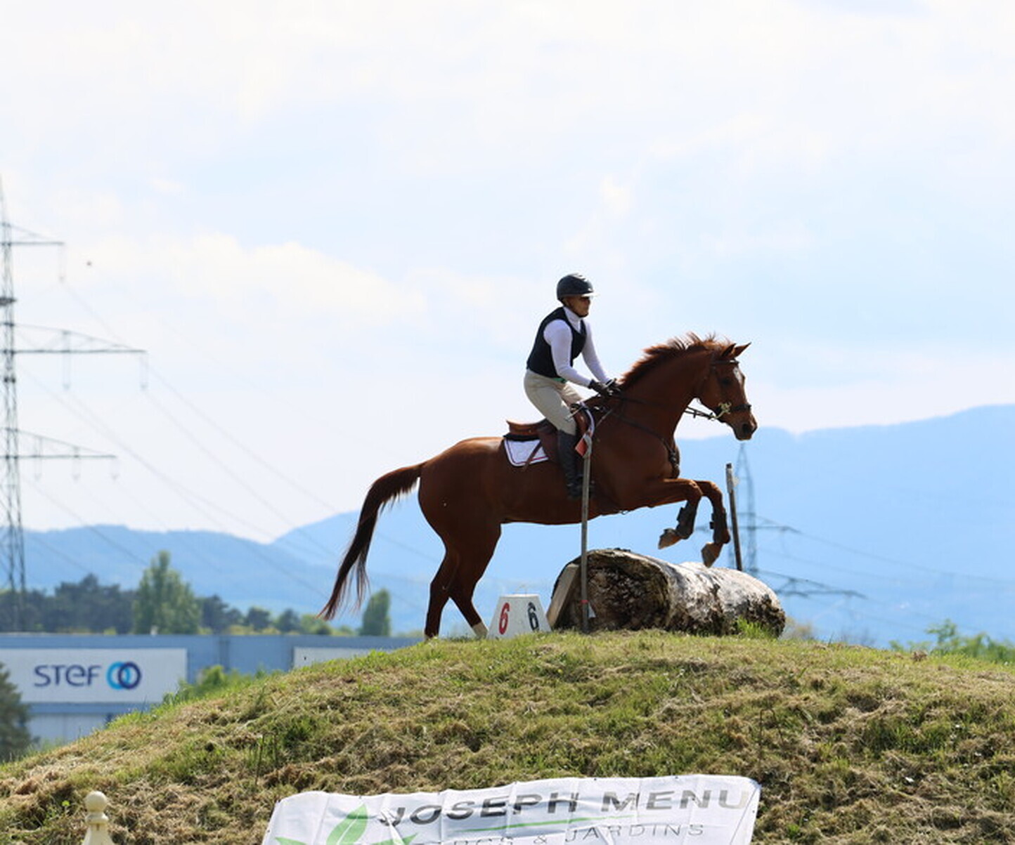 Description de l'image