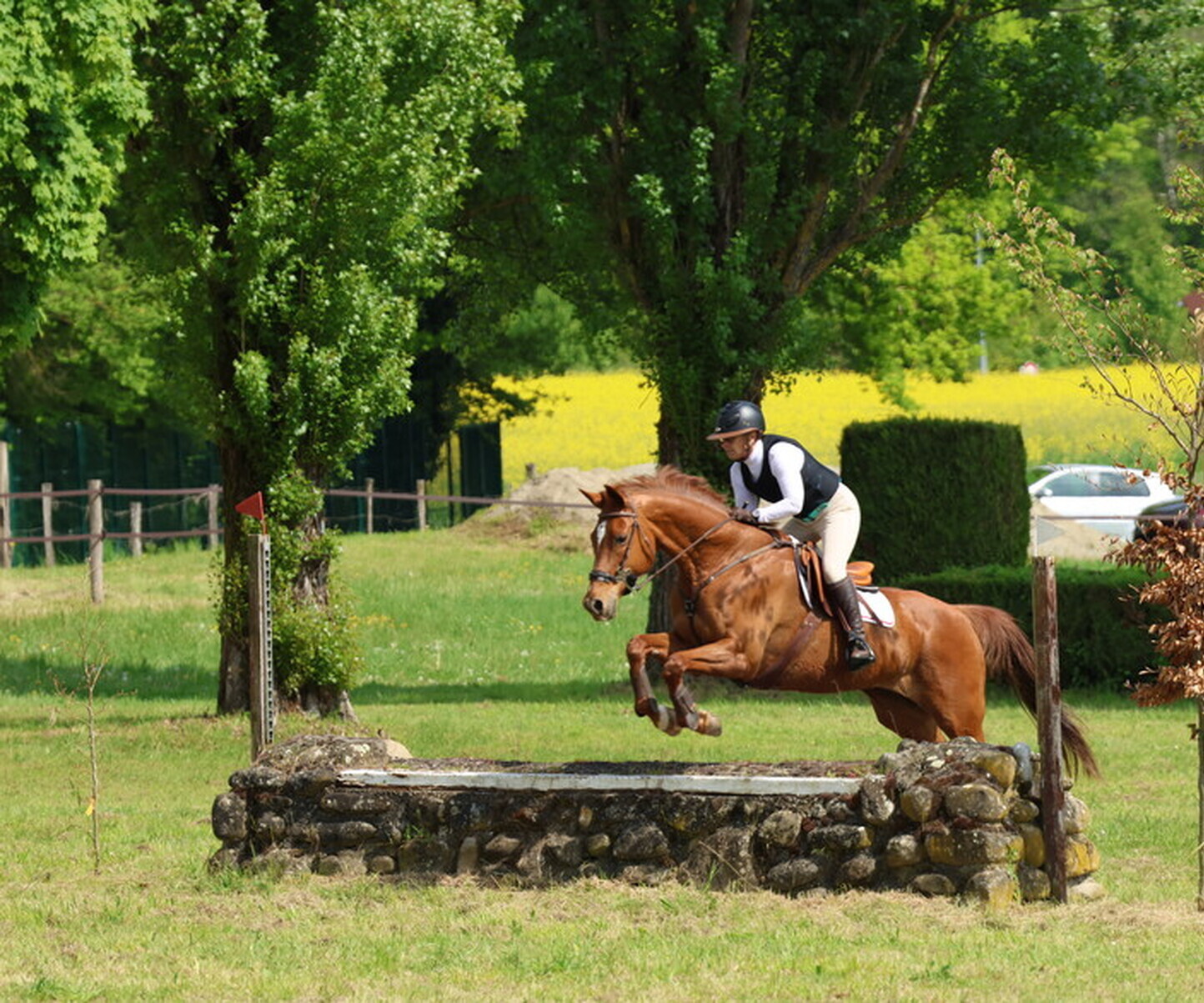 Description de l'image