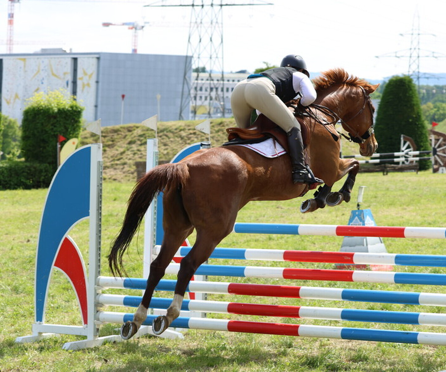 Description de l'image