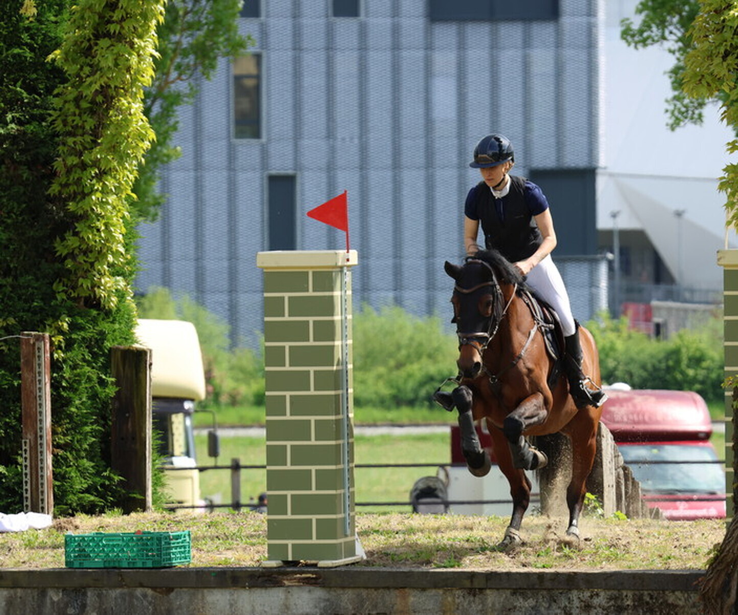 Description de l'image