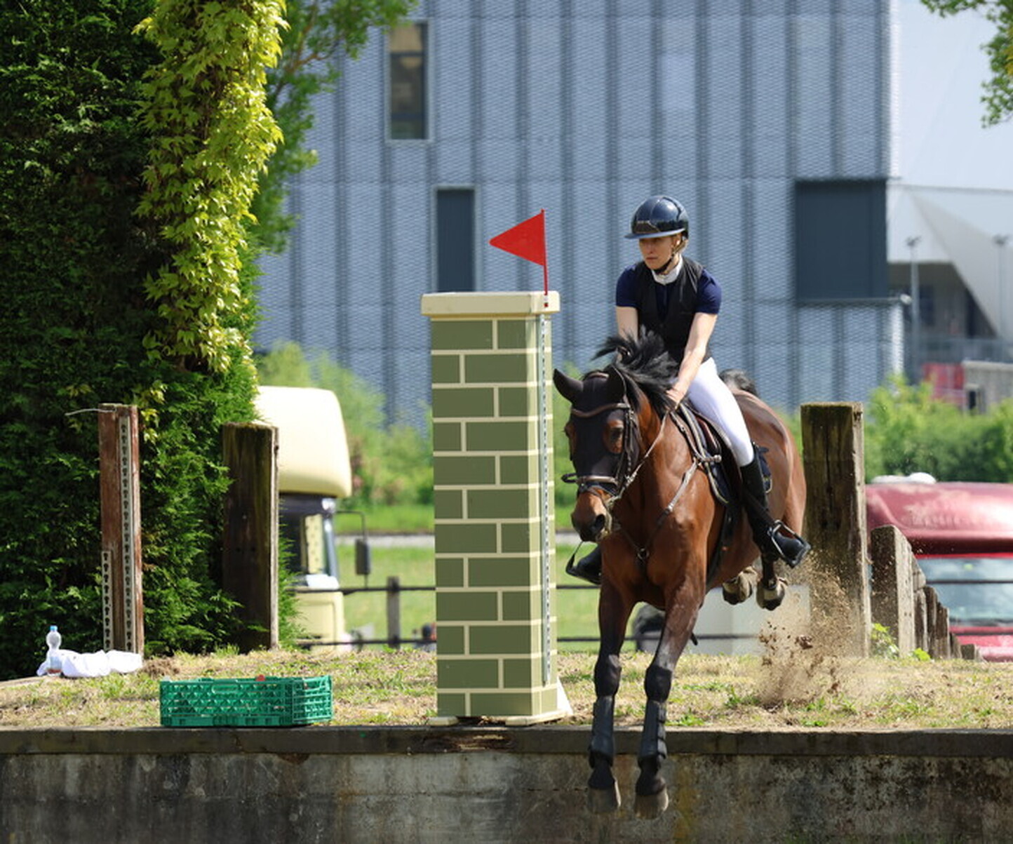 Description de l'image