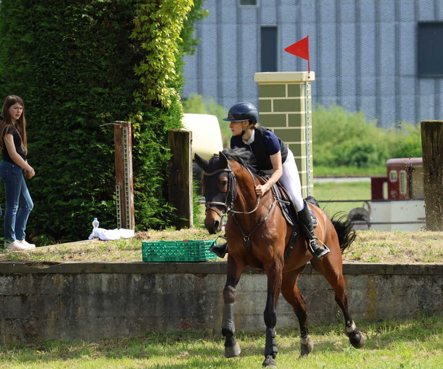 Description de l'image