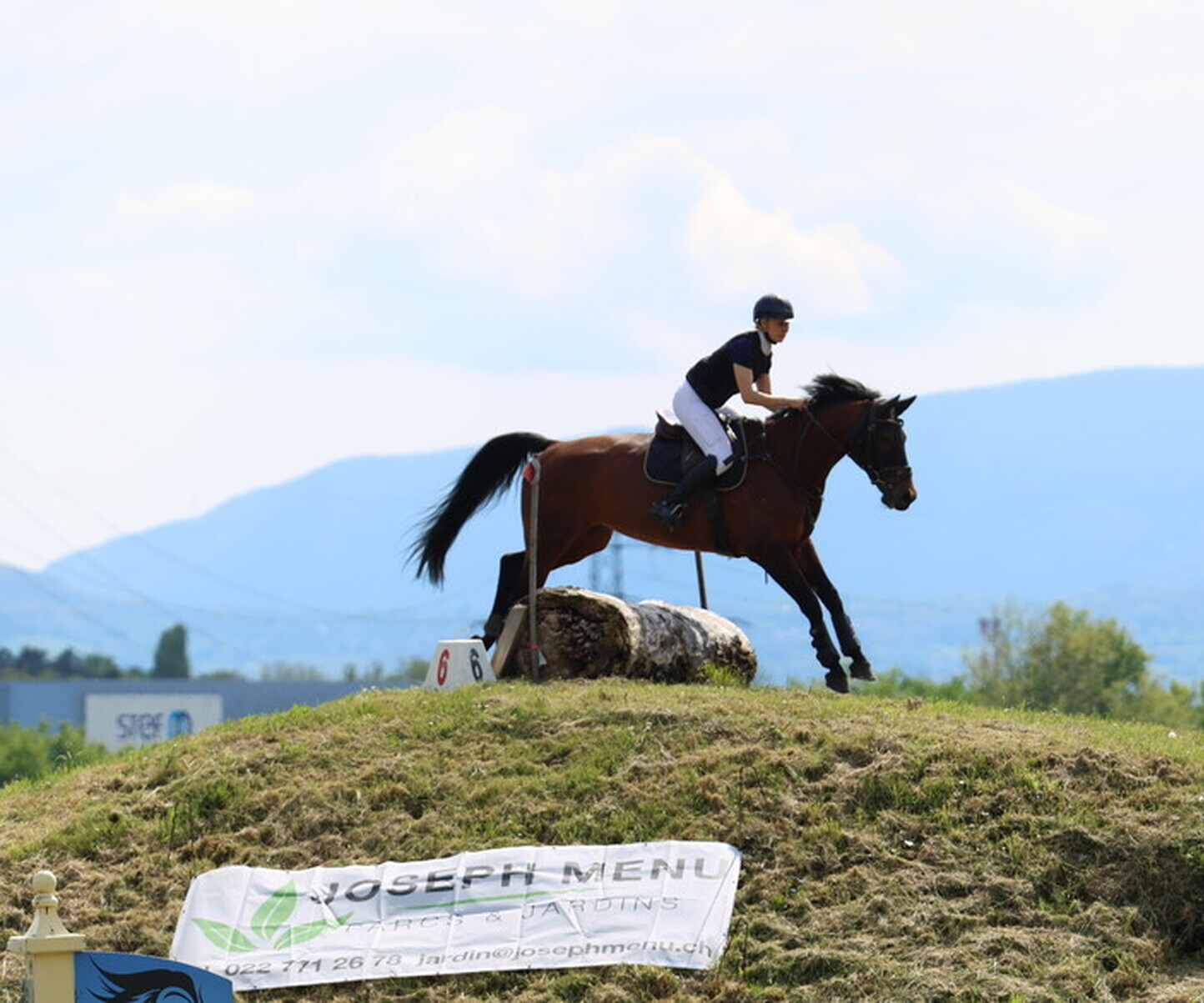 Description de l'image