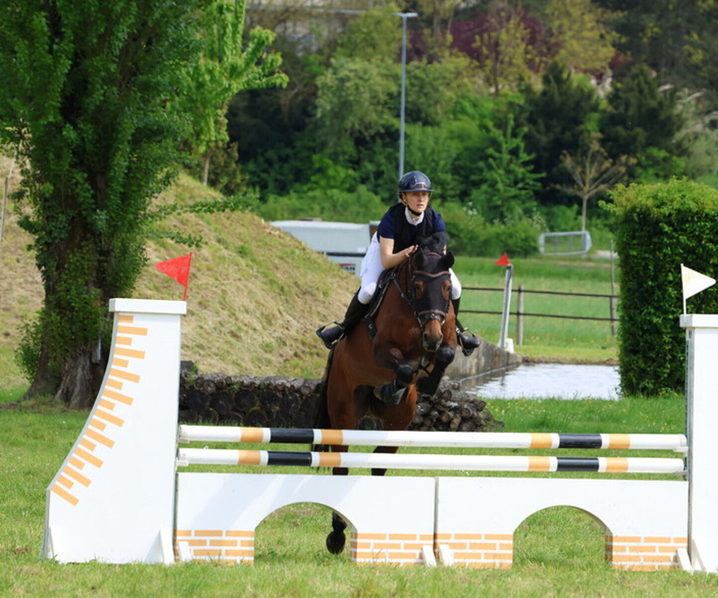 Description de l'image