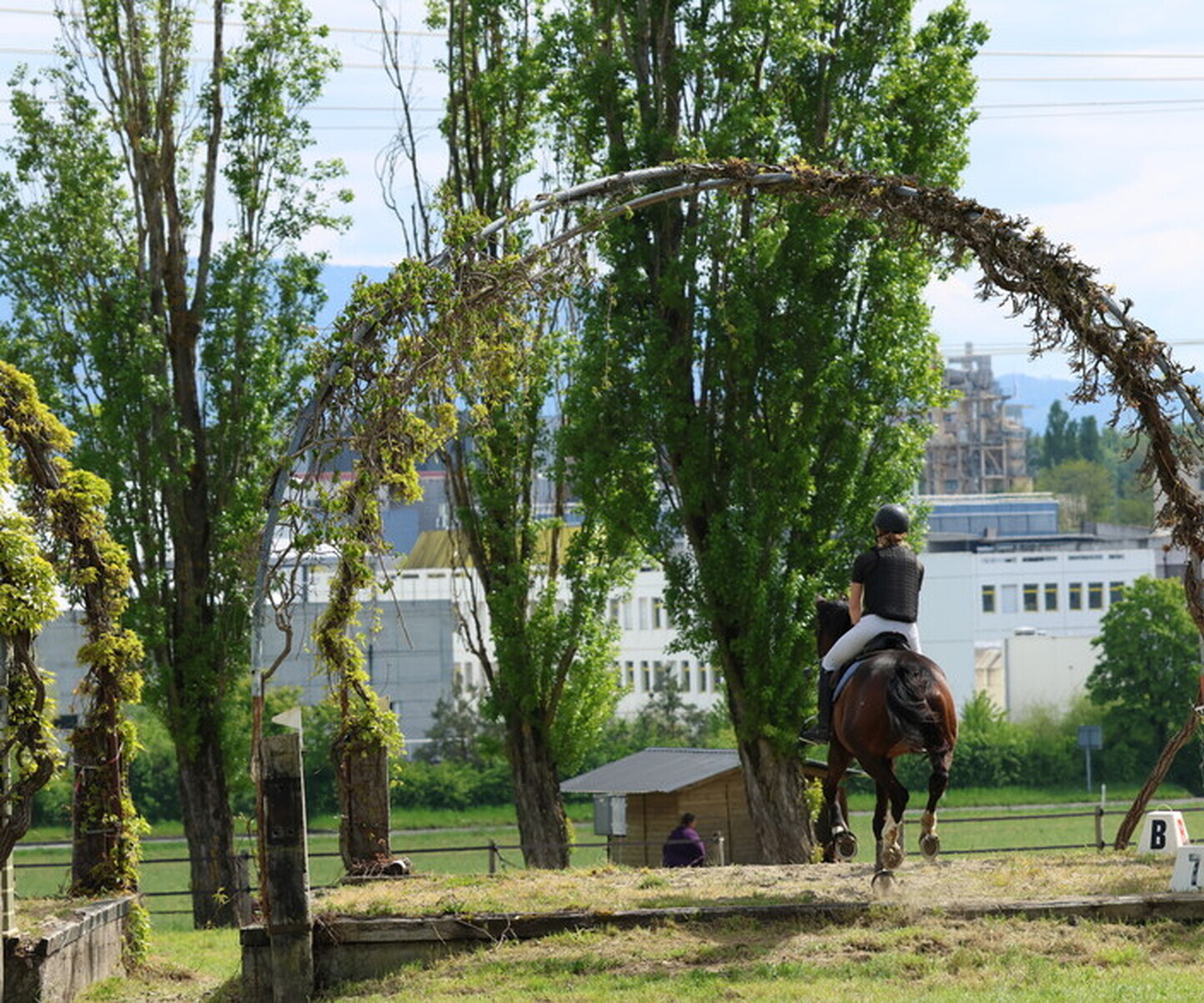 Description de l'image