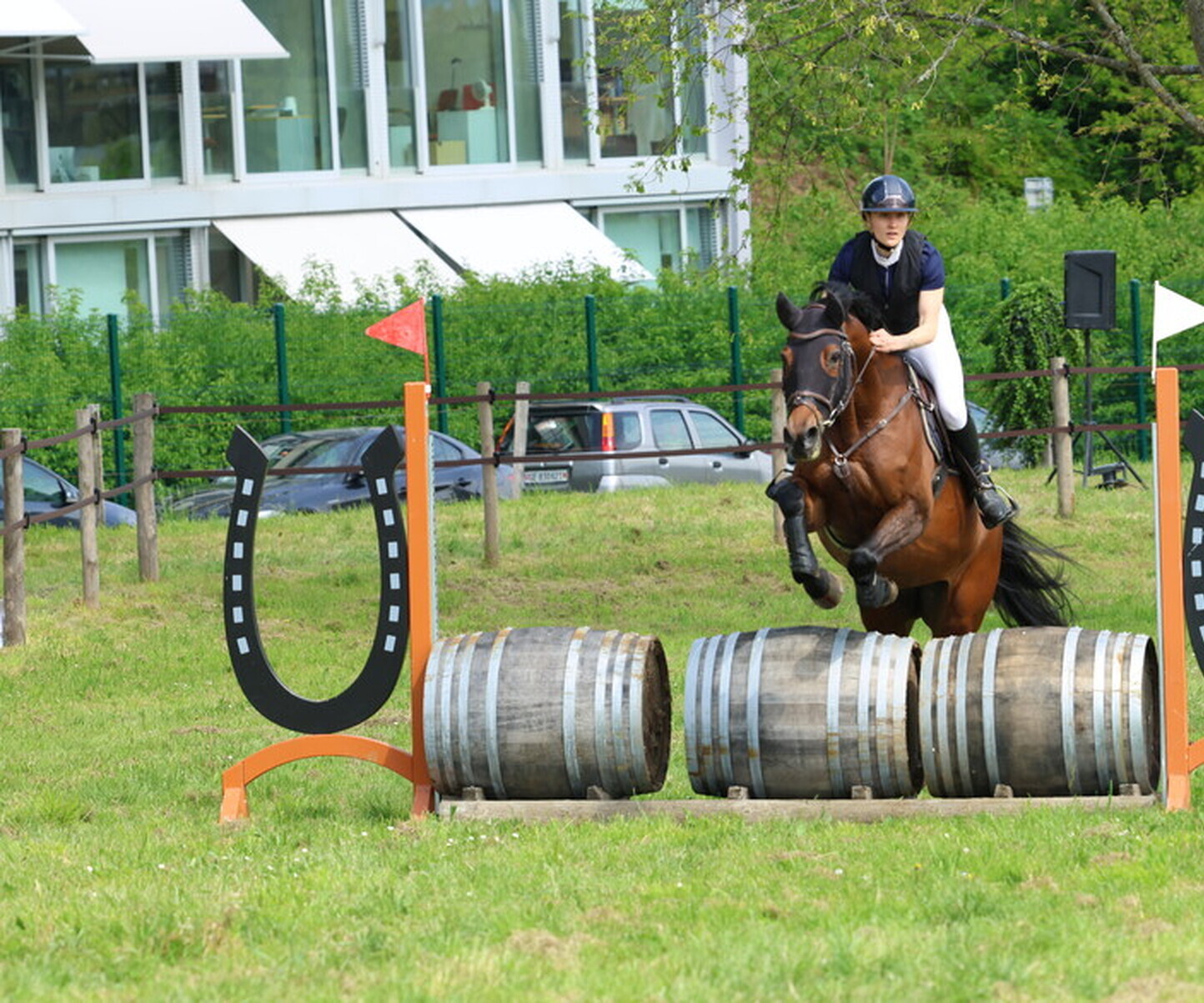 Description de l'image