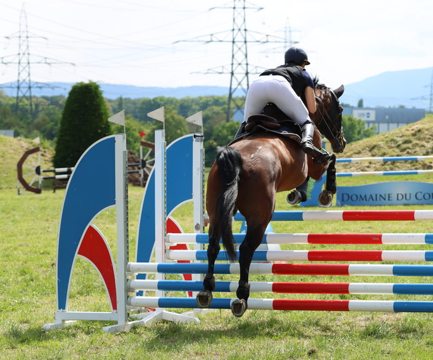 Description de l'image