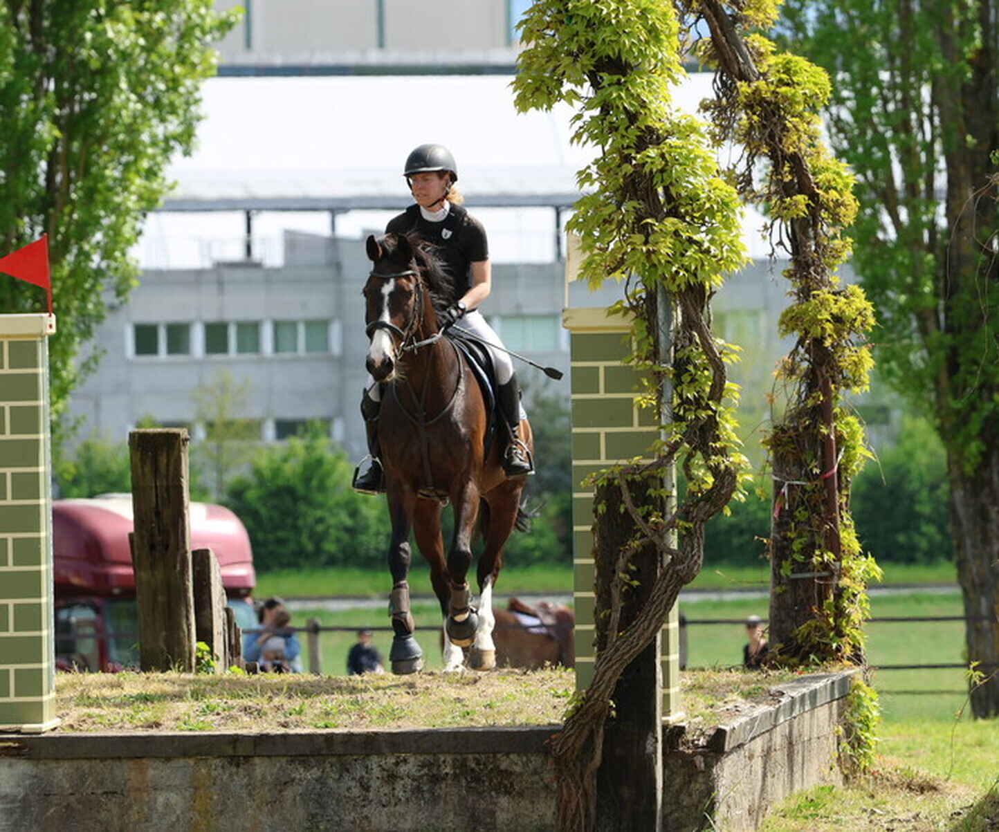 Description de l'image