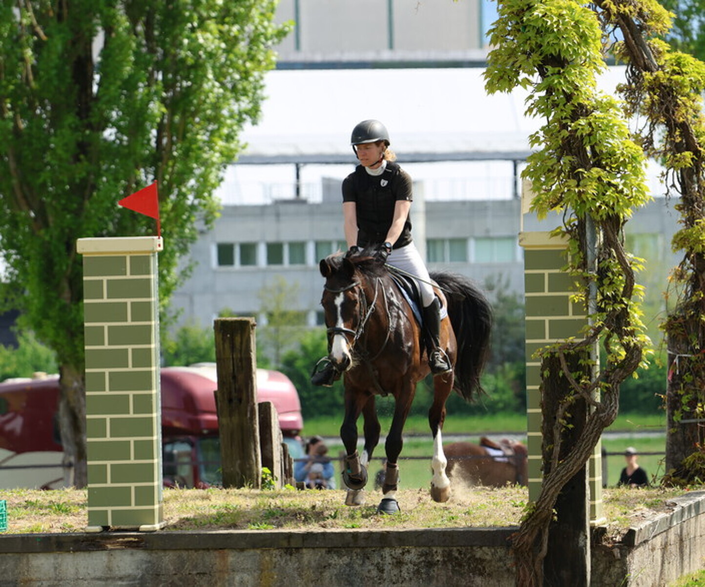 Description de l'image