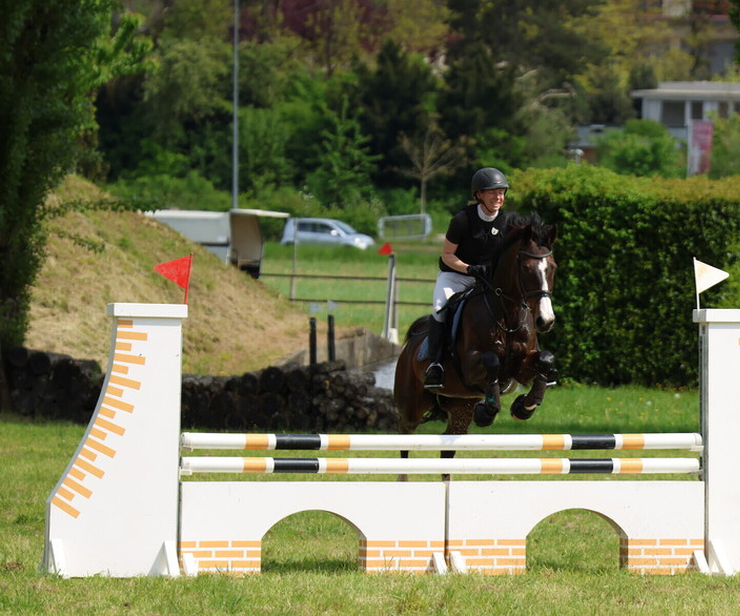 Description de l'image