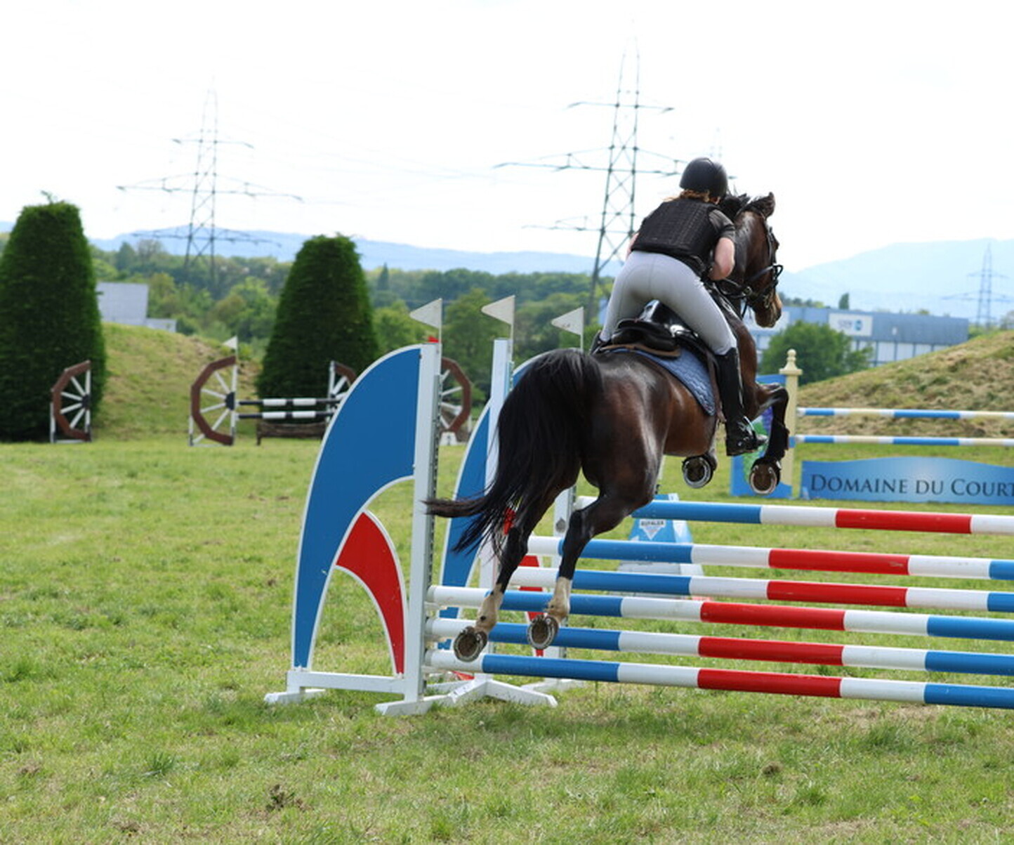 Description de l'image