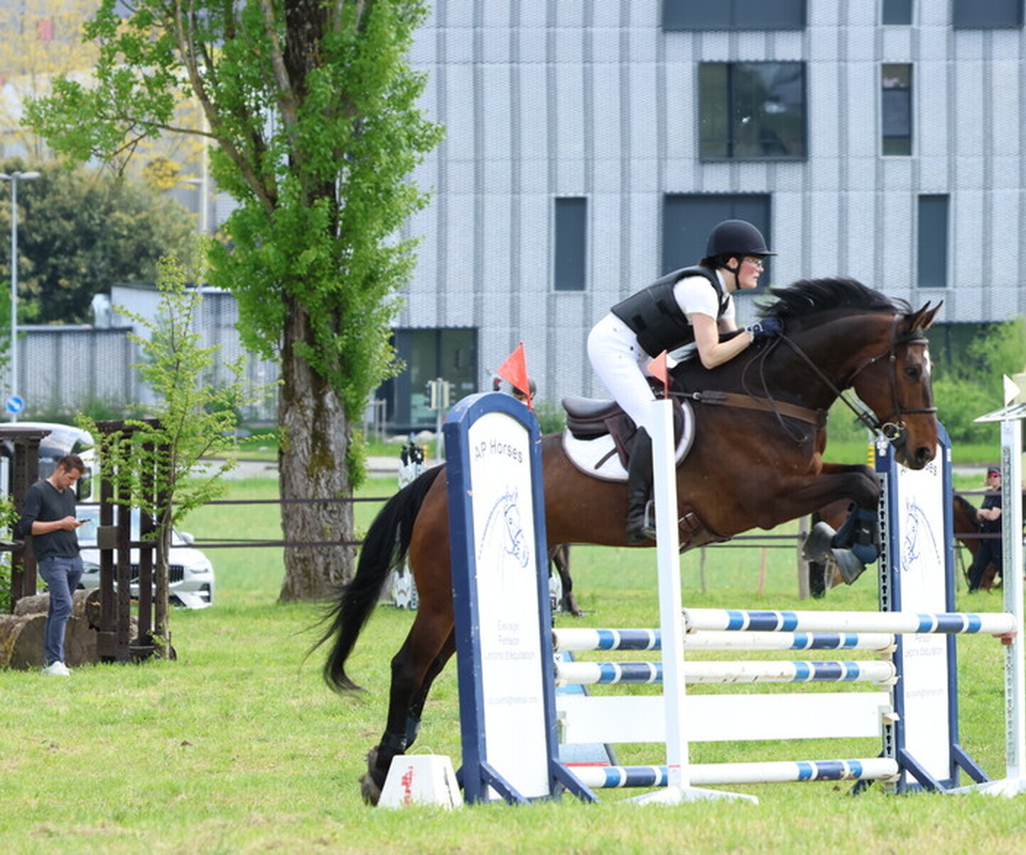 Description de l'image