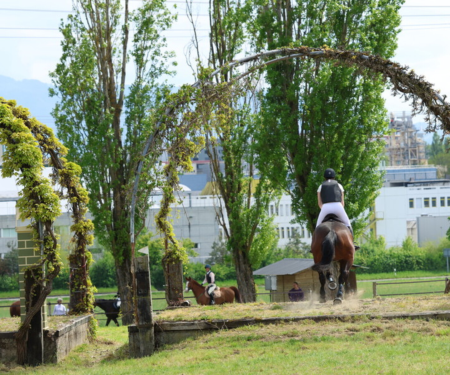 Description de l'image