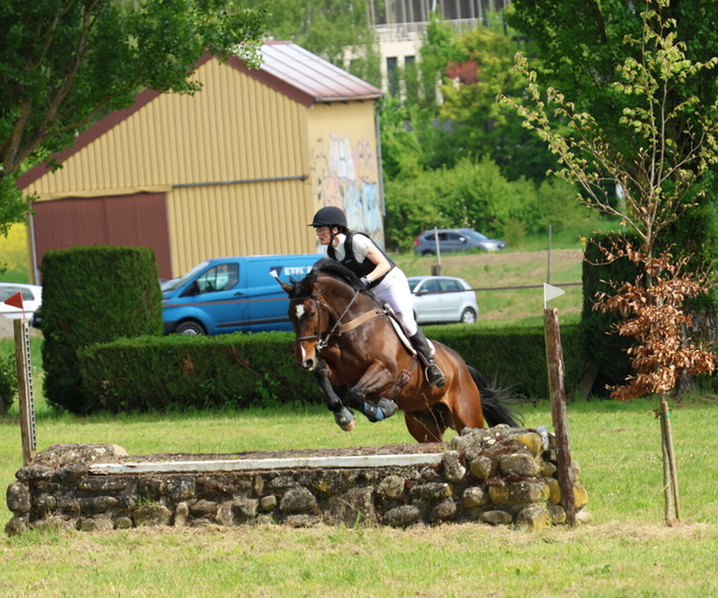 Description de l'image