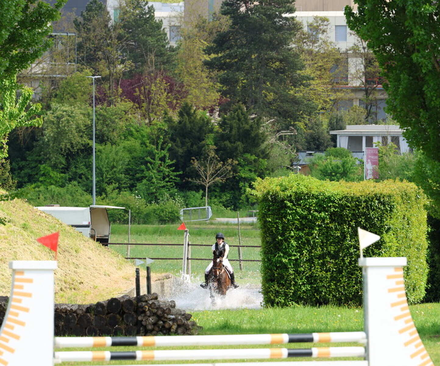 Description de l'image